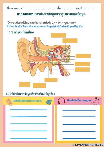 อวัยวะรับเสียง