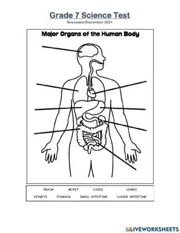 Grade 7 Science Review Test Dec2021