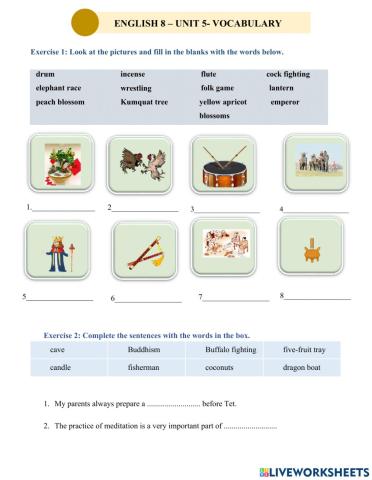 English 8- vocbulary