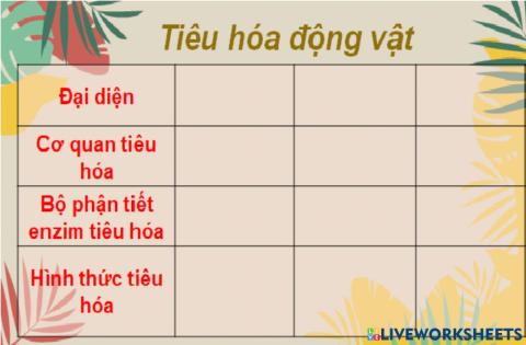 Tiêu hóa động vật