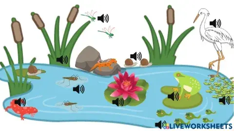 Pond habitat