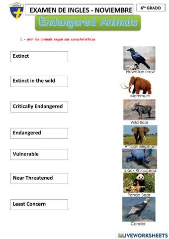 6 evaluacion noviembre