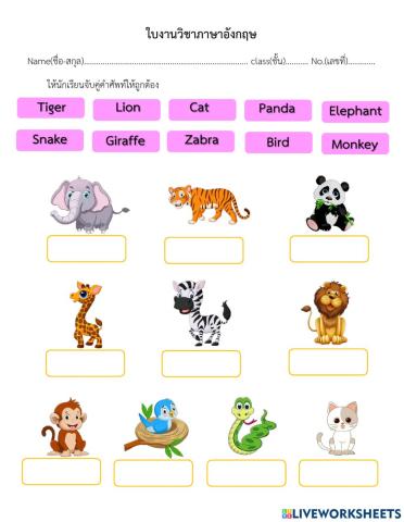 ใบงานที่ 5 เรียนรู้คำศัพท์