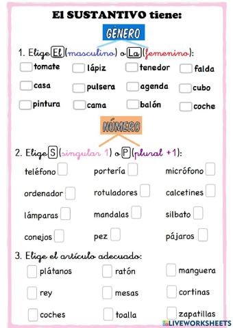 Género y número artículos