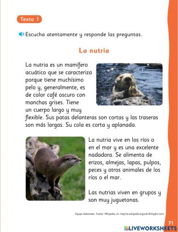 Evaluacion proceso leo primero