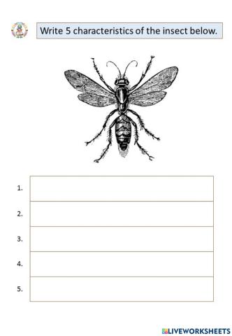 Insects Characteristics