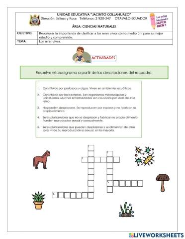 Reinos de los seres vivos