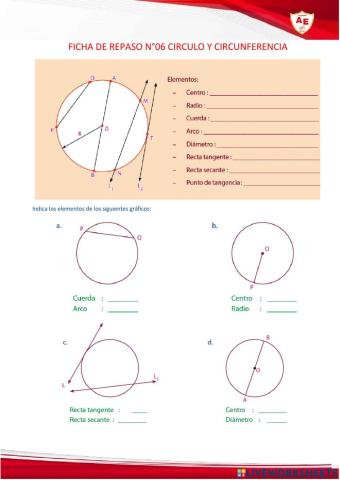 Circulo y circunferencia