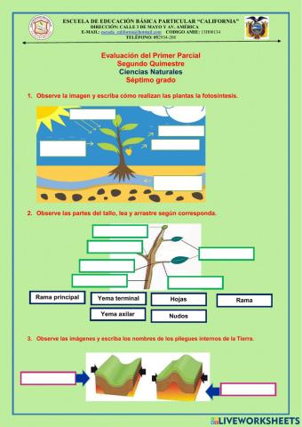 EVALUACION DE CCNN DE 7mO. 1ER. PARCIAL DEL 2DO. QUIMESTRE