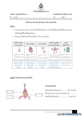 โครงสร้างและการทำงานของหัวใจ