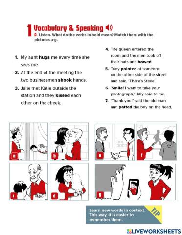 Pioneer elementary module 11 C