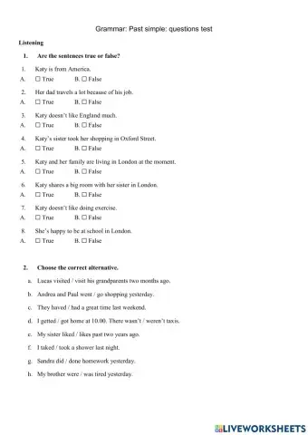 Past Simple Questions