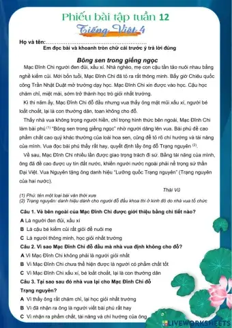 Vui tv cuối tuần 12