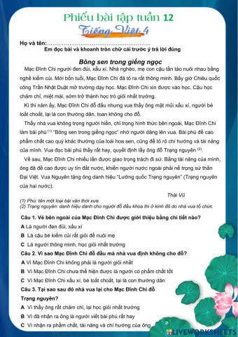 Vui tv cuối tuần 12