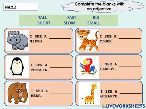 Adjective - Practice 4
