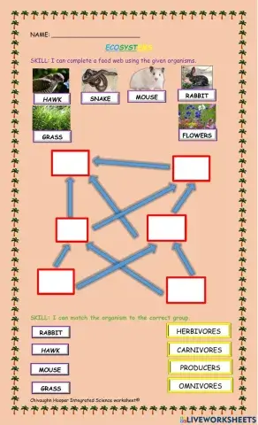Ecosystems worksheet