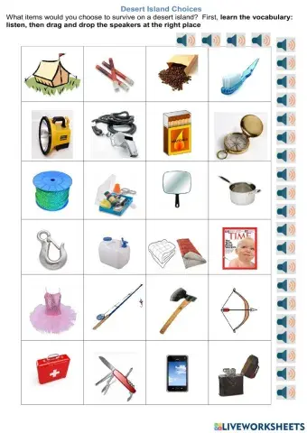 Items to survive on a desert island