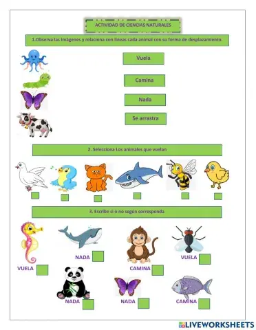 Actividad ciencias naturales