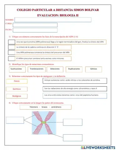 Evaluacion Segundo BGU