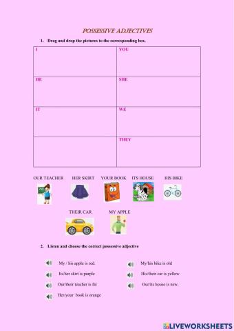 Possessive adjectives