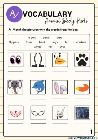 Animal Body Parts