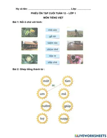 Phiếu ôn tập TV tuần 12