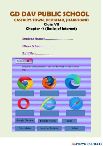 Web Browser & Search Engine