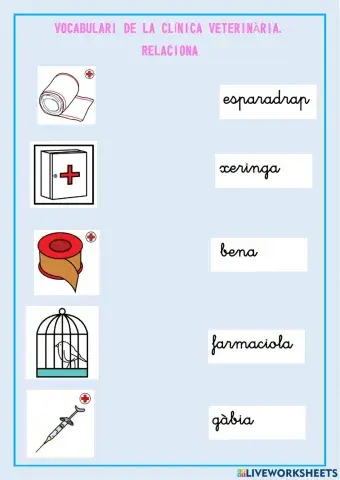 Vocabulari de la clínica veterinària.