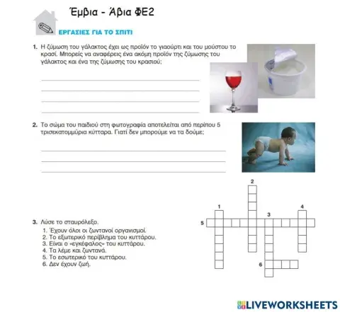 Έμβια - Άβια - ΦΕ2.Το κύτταρο