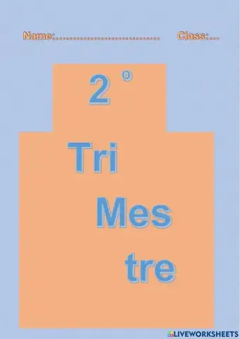 Separador por trimestres