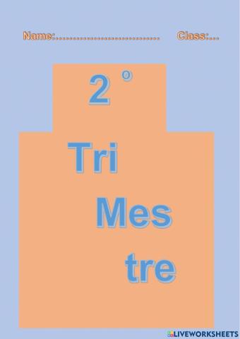 Separador por trimestres