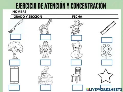 Ejercicio de atencion y concentracion