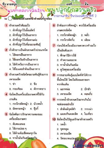 แบบทดสอบหลังเรียน หนูปลูกผักสวนครัว