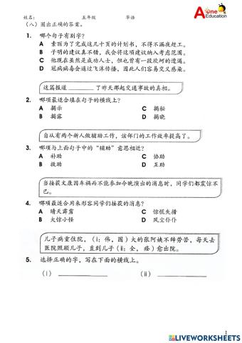 Std 5 华语小测验