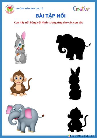 Bài tập Khám phá các con vật