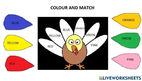 Colour the turkey
