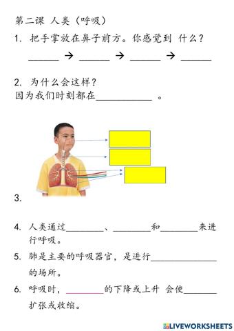 四年级科学 第二课人类