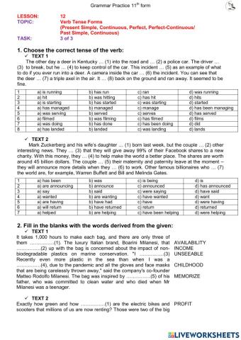 Past Continuous (L12 11th form ex3)