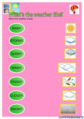 What's the weather like?