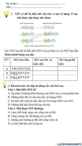 Bài tập NST