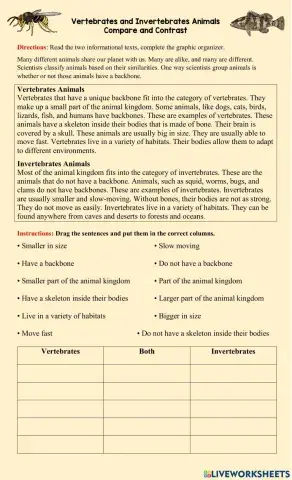 Compare and contrast vertebrates and invertebrates