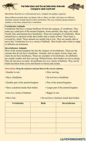 Compare and contrast vertebrates and invertebrates