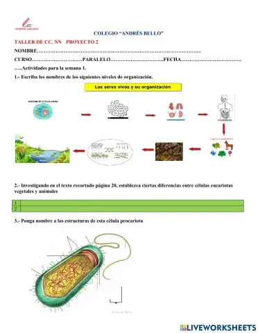 Organización de los seres vivos