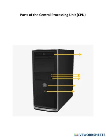 Central Processing Unit
