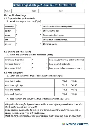 Practise Test Unit 6