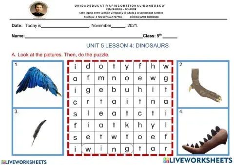UNIT 5 LESSON 4- dinosaurs