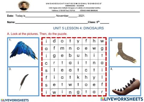 UNIT 5 LESSON 4- dinosaurs