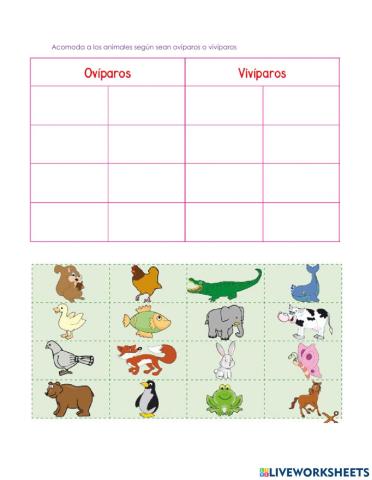Animales vivíparos y ovíparos