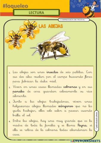 Las abejas