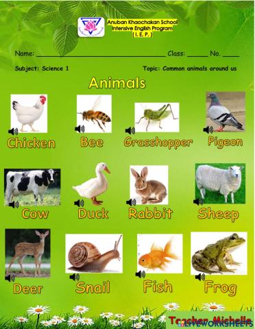 Common animals around us